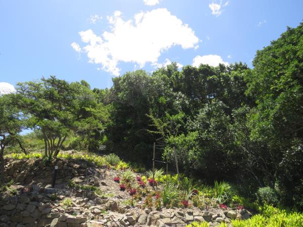 675 m² Land