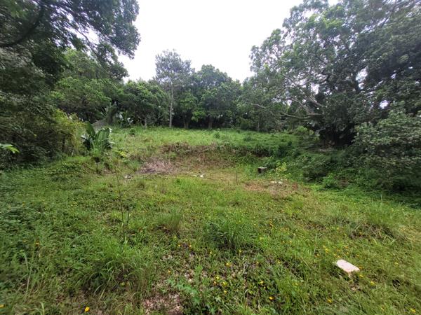 1 521 m² Land
