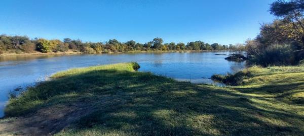 1 ha Land
