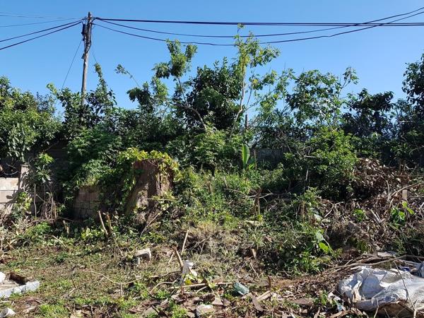 260 m² Land