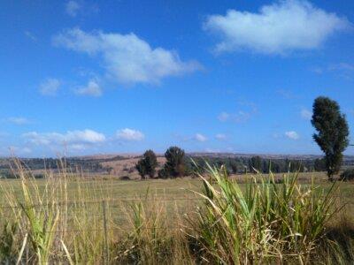 6.8 ha Land