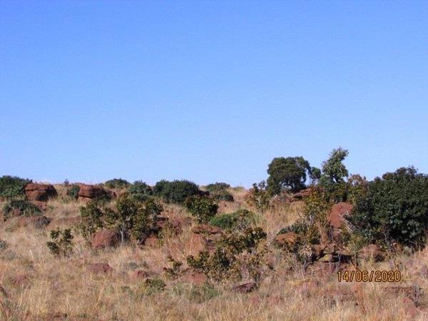 18 ha Land