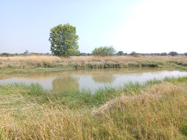 42 ha Farm