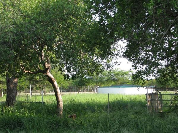 20 ha Smallholding