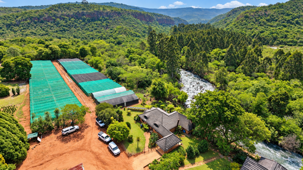 37 ha Farm