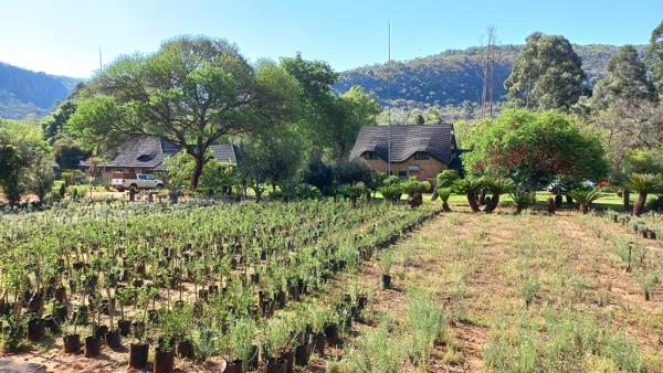 37 ha Farm