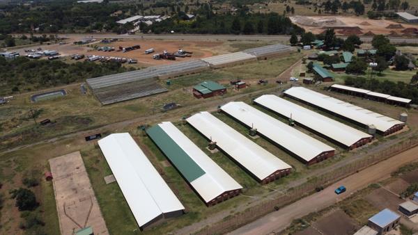 7.7 ha Farm