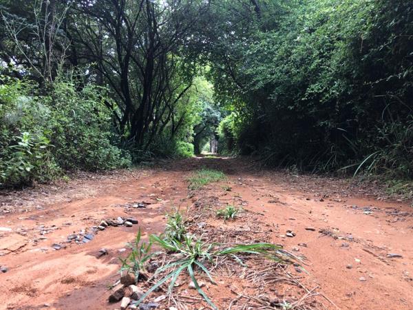 1.5 ha Land