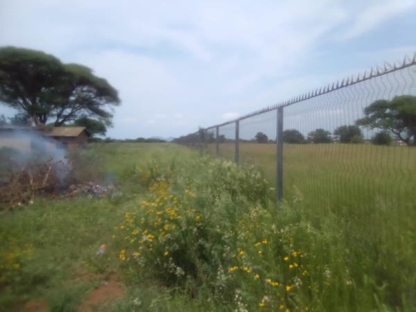 18 ha Smallholding