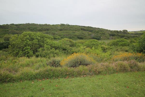 1 233 m² Land