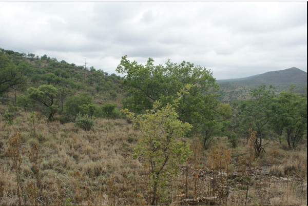 3.9 ha Land