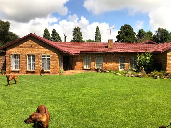 6 Bedroom House