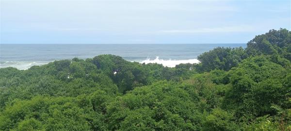 696 m² Land