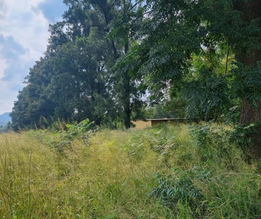 8.8 ha Land