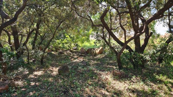 744 m² Land