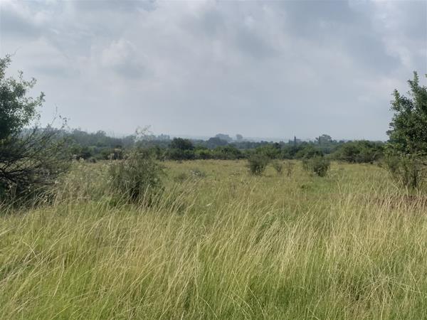 18.1 ha Land