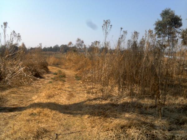 12 ha Farm