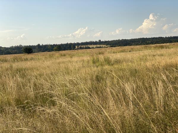 21.4 ha Land