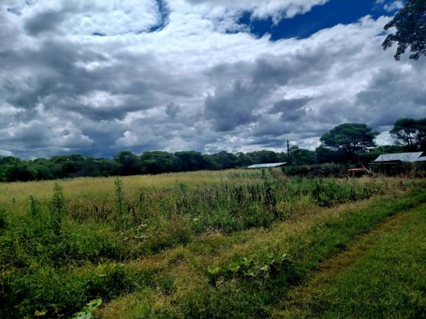 78 ha Farm