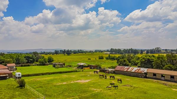 9 ha Smallholding