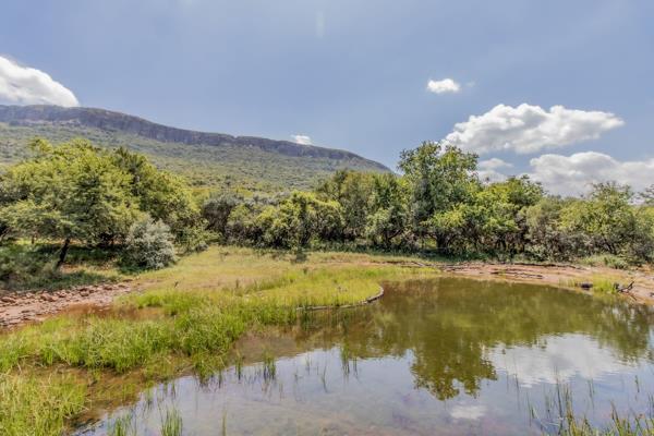 44 ha Farm