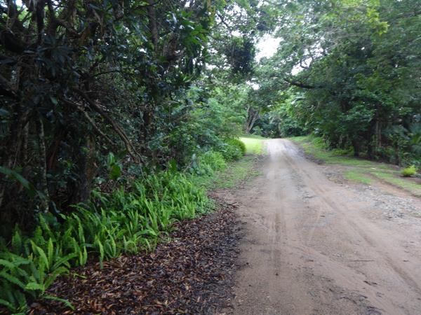 1 381 m² Land
