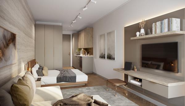1 Bedroom Apartment