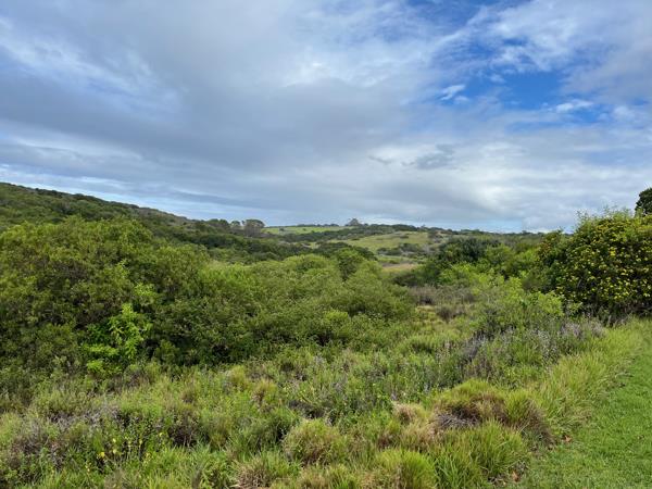 1 233 m² Land
