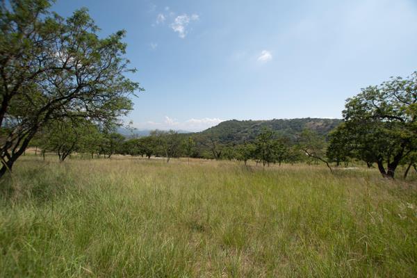 1 213 m² Land