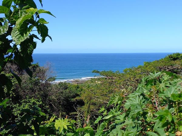 2 342 m² Land