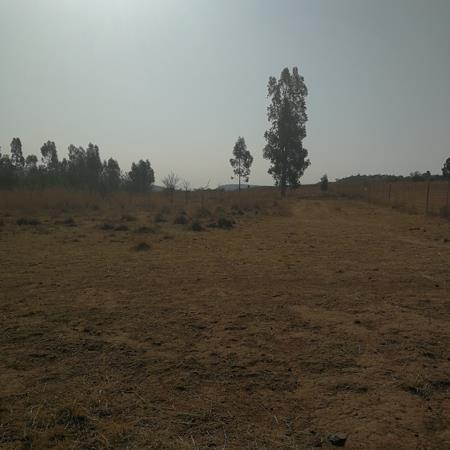 6.5 ha Land