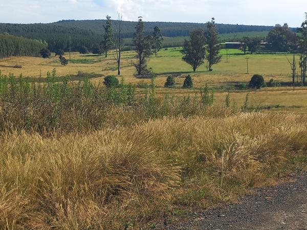 25 ha Farm