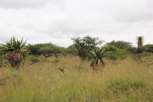 23 ha Land