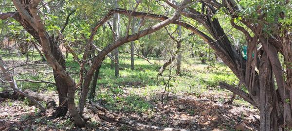 509 m² Land