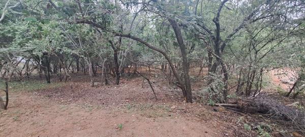 729 m² Land