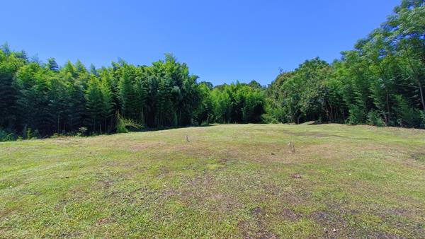 907 m² Land