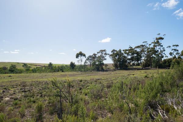10.7 ha Land