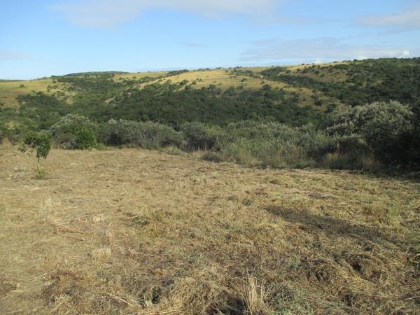 1 379 m² Land