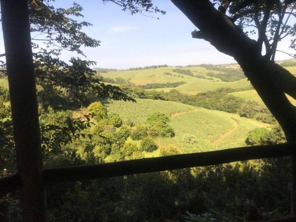 1 Bedroom Garden Cottage