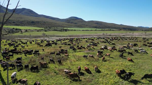 1 130 ha Farm