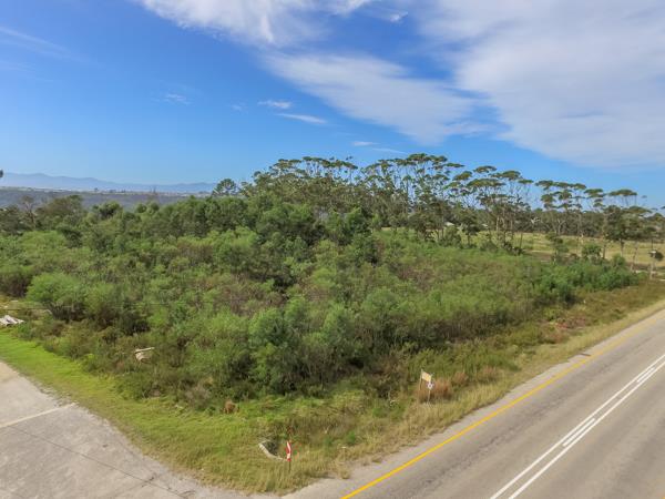 6.6 ha Land