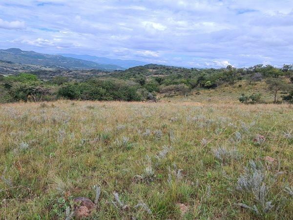 1 ha Land
