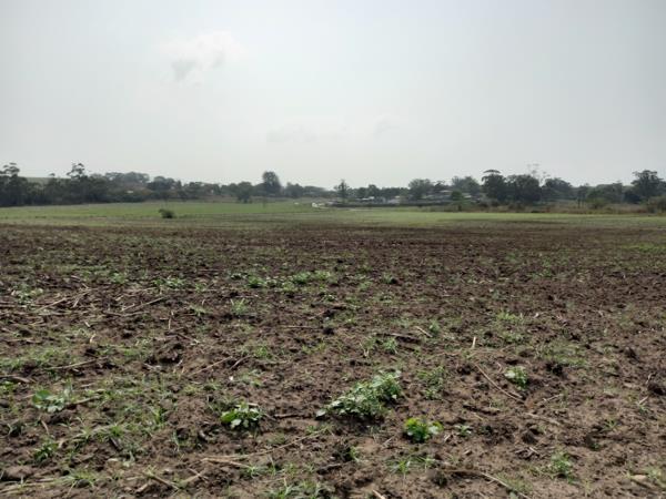 Farm