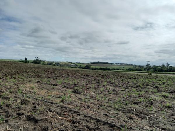 Farm