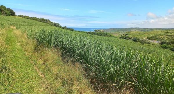 6 ha Farm