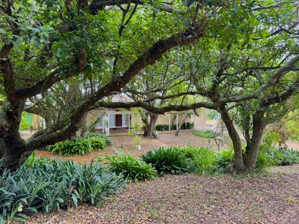 9.9 ha Farm with House