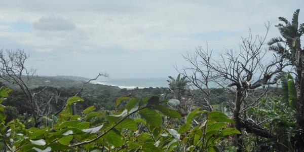 8 530 m² Land