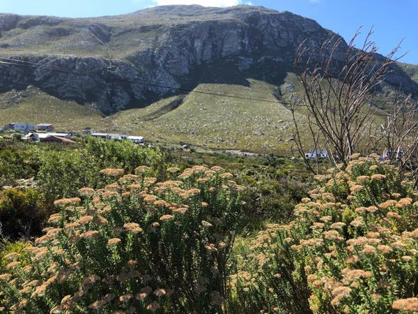 880 m² Land