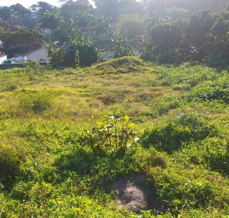 1 010 m² Land