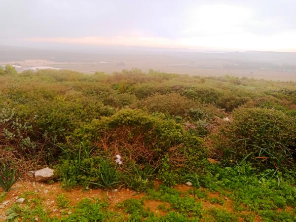 831 m² Land